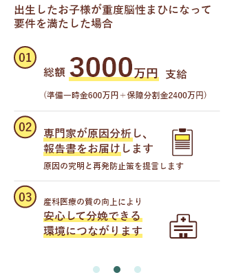 出生したお子様が重度脳性まひになって要件を満たした場合